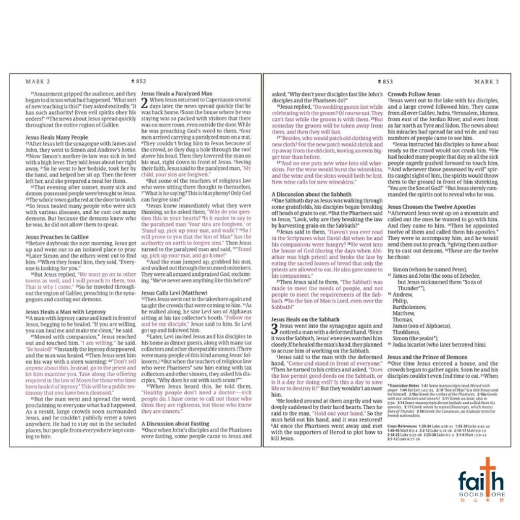 malaysia-online-christian-bookstore-faith-book-store-english-holy-bible-new-living-translation-nlt-large-print-thinline-reference-messenger-stone-camel-zippered-leatherlike-tyndale-9781496466242-9