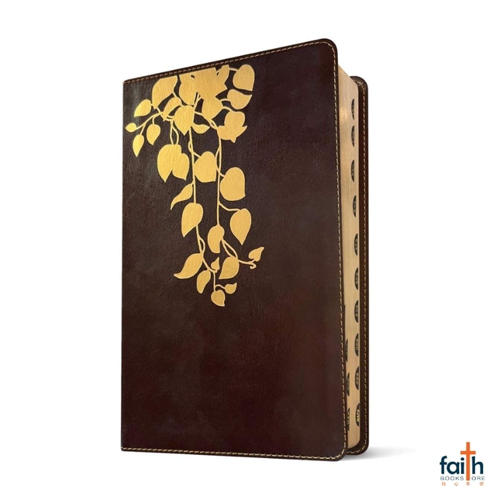 malaysia-online-christian-bookstore-faith-book-store-english-holy-bible-new-living-translation-nlt-thrive-devotional-for-women-thumb-indexed-leatherlike-cascade-deep-brown-tyndale-9781496477958-3