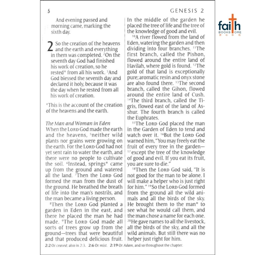 malaysia-online-christian-bookstore-faith-book-store-english-holy-bible-new-living-translation-nlt-giant-print-edition-tutone-pink-brown-leatherlike-red-letter-tyndale-9781414398426-2