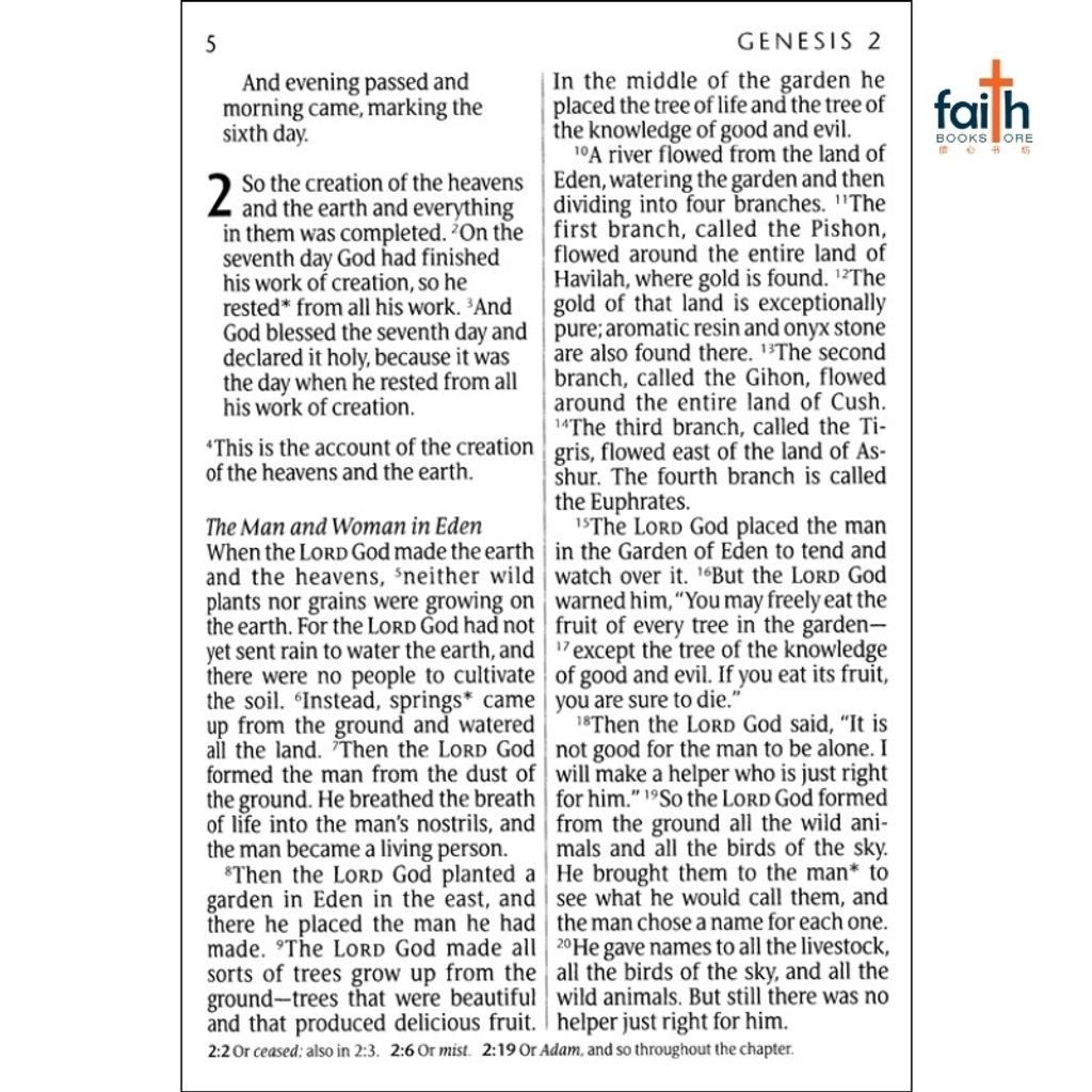 malaysia-online-christian-bookstore-faith-book-store-english-holy-bible-new-living-translation-nlt-giant-print-edition-tutone-brown-tan-leatherlike-red-letter-tyndale-9781414337487-4