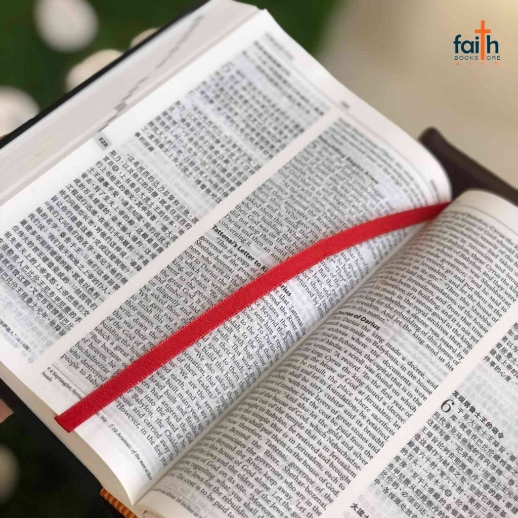 malaysia-online-christian-bookstore-faith-book-store-simplified-chinese-english-bilingual-bible-圣经-中-英-对照-和合本-ESV-中型-装-黑色-精装-简体-ESV-RCUVSS53DI-black-hardcover-the bible-society-of-singapore-2