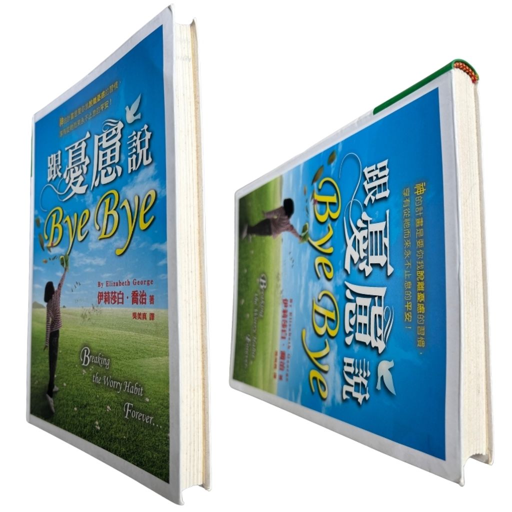 malaysia-online-christian-bookstore-faith-book-store-mandarin-book-再生书- 跟忧郁说 Bye Bye-伊丽莎白·乔治-9789866259210-6