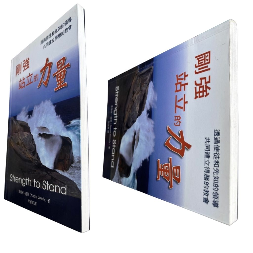 malaysia-online-christian-bookstore-faith-book-store-mandarin-book-再生书-刚强站立的力量- 拿俄米·道蒂- 97889867647320-8