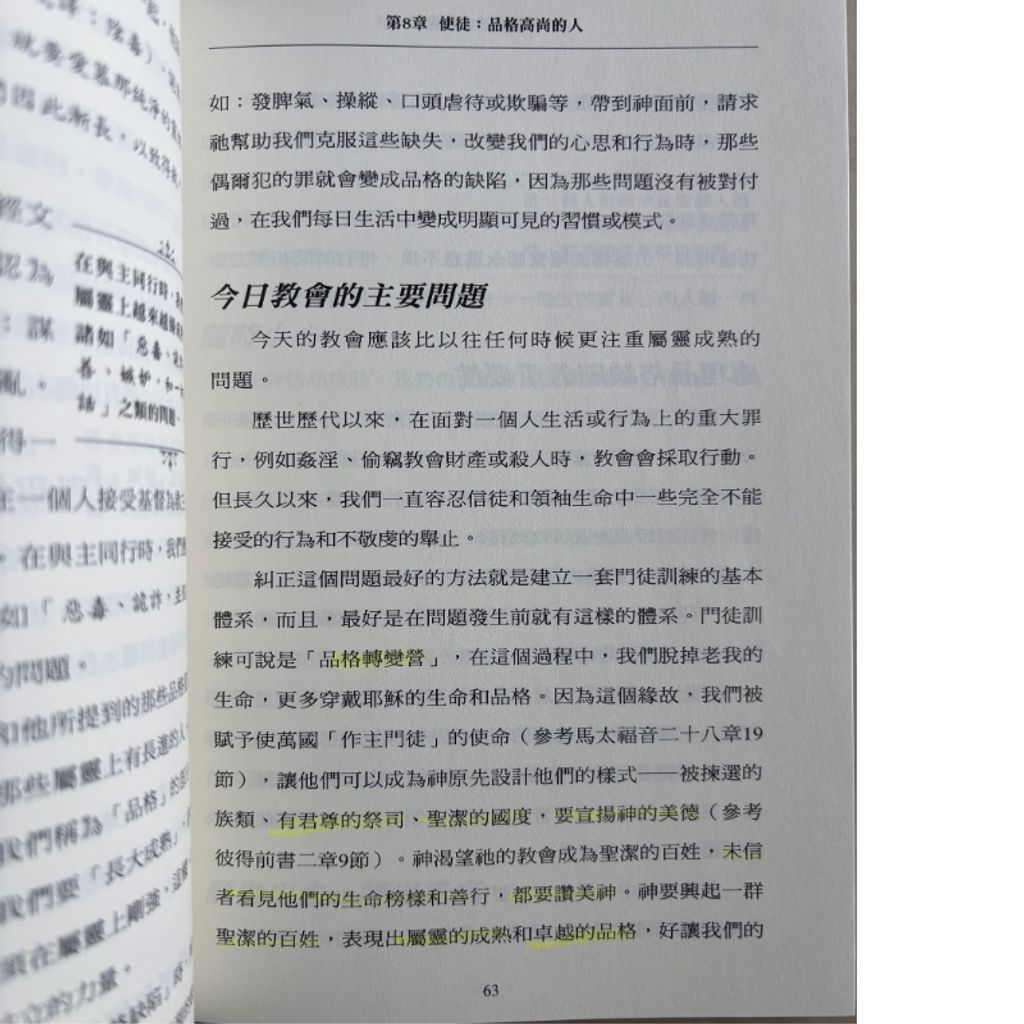 malaysia-online-christian-bookstore-faith-book-store-mandarin-book-再生书-刚强站立的力量- 拿俄米·道蒂- 97889867647320-7