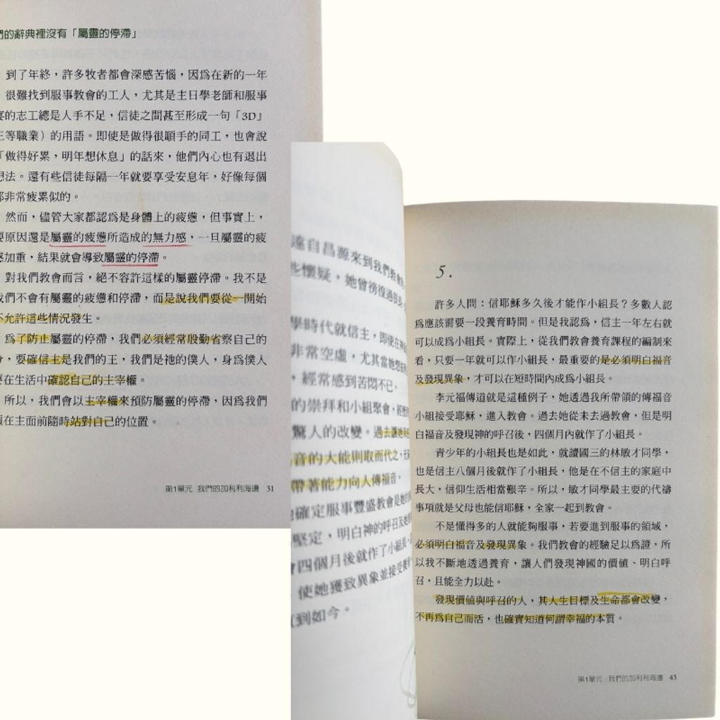 malaysia-online-christian-bookstore-faith-book-store-mandarin-book-再生书- 最健康的教会：丰盛教会的故事-金圣坤-9789866735653-3
