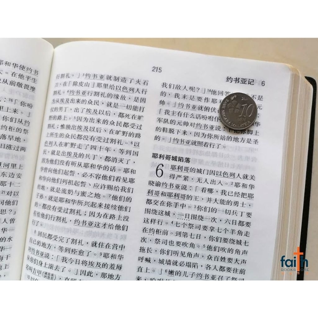 malaysia-online-christian-bookstore-faith-book-store-holy-bible-chinese-union-version-cuv-圣经-新-标点-和合本-中型-金边-仿皮-黑色-蓝色-红色-简体-CUNPSS62PL-9789830300726-6