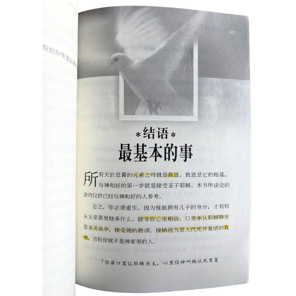 malaysia-online-christian-bookstore-faith-book-store-mandarin-book-再生书-恩膏的秘诀-伊美-9789866876516-3