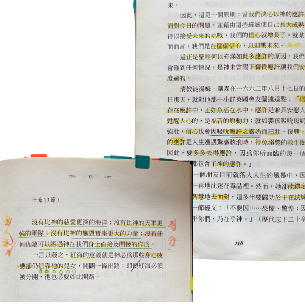 malaysia-online-christian-bookstore-faith-book-store-mandarin-book-再生书- 红海原则- 罗勃·摩根-9867750217-4