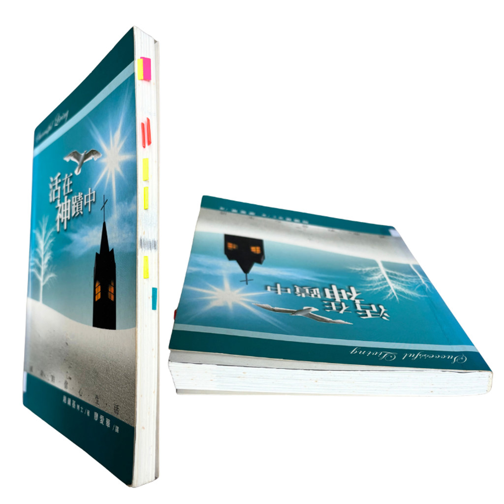 malaysia-online-christian-bookstore-faith-book-store-mandarin-book-再生书- 活在神迹中-  赵镛基-9789579483186-8
