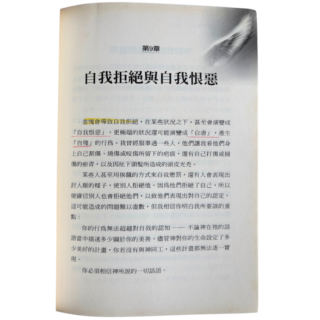 malaysia-online-christian-bookstore-faith-book-store-mandarin-book-再生书- 华冠代替灰尘- 乔伊斯·迈尔-9867750837-4