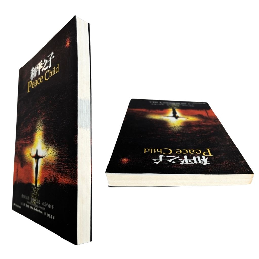 malaysia-online-christian-bookstore-faith-book-store-mandarin-book-再生书- 和平之子-唐·理查森-9787106029142-7