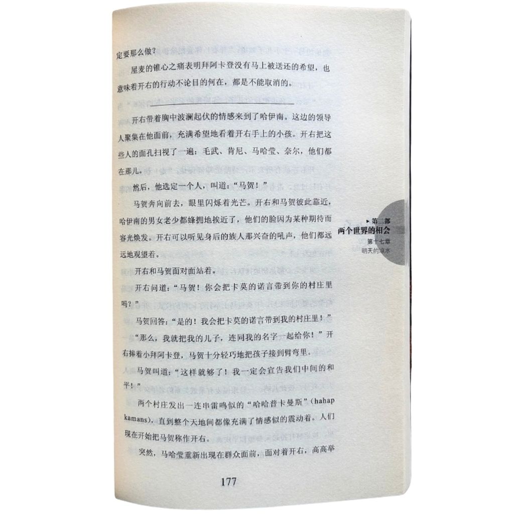 malaysia-online-christian-bookstore-faith-book-store-mandarin-book-再生书- 和平之子-唐·理查森-9787106029142-6