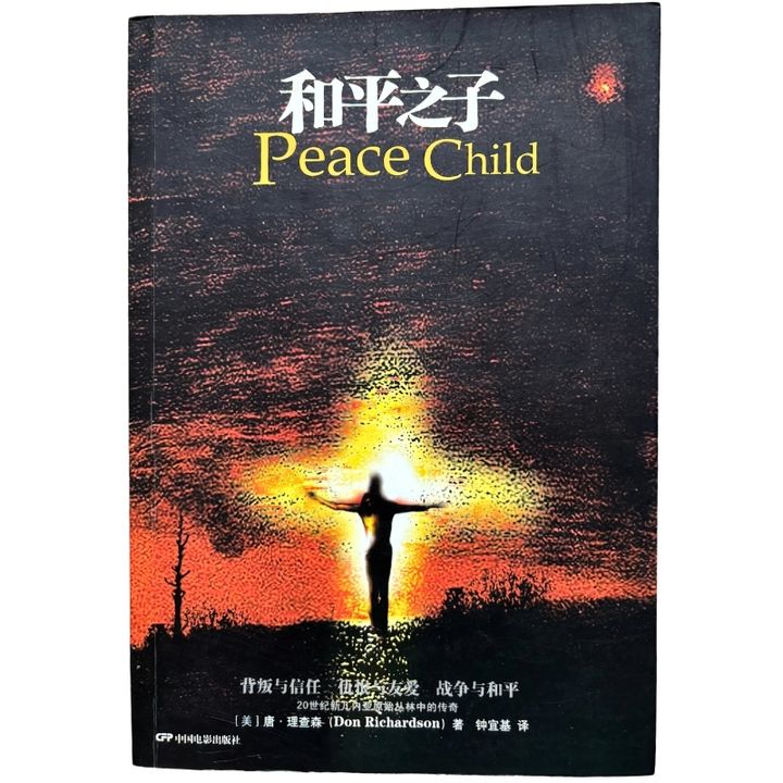 malaysia-online-christian-bookstore-faith-book-store-mandarin-book-再生书- 和平之子-唐·理查森-9787106029142-1