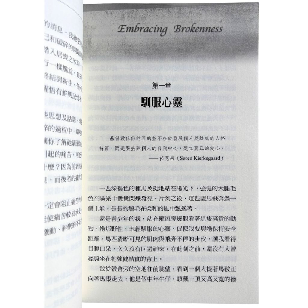 malaysia-online-christian-bookstore-faith-book-store-mandarin-book-再生书- 合神心意的仆人-亚兰·尼尔森 -9867955633-4