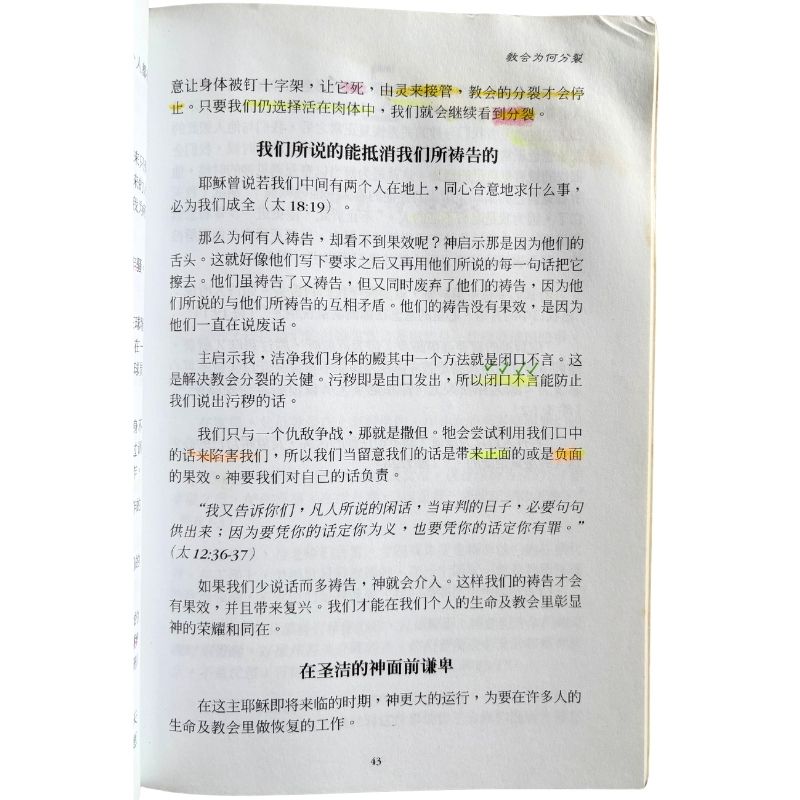 malaysia-online-christian-bookstore-faith-book-store-mandarin-book-再生书-洁净圣殿-林真-5