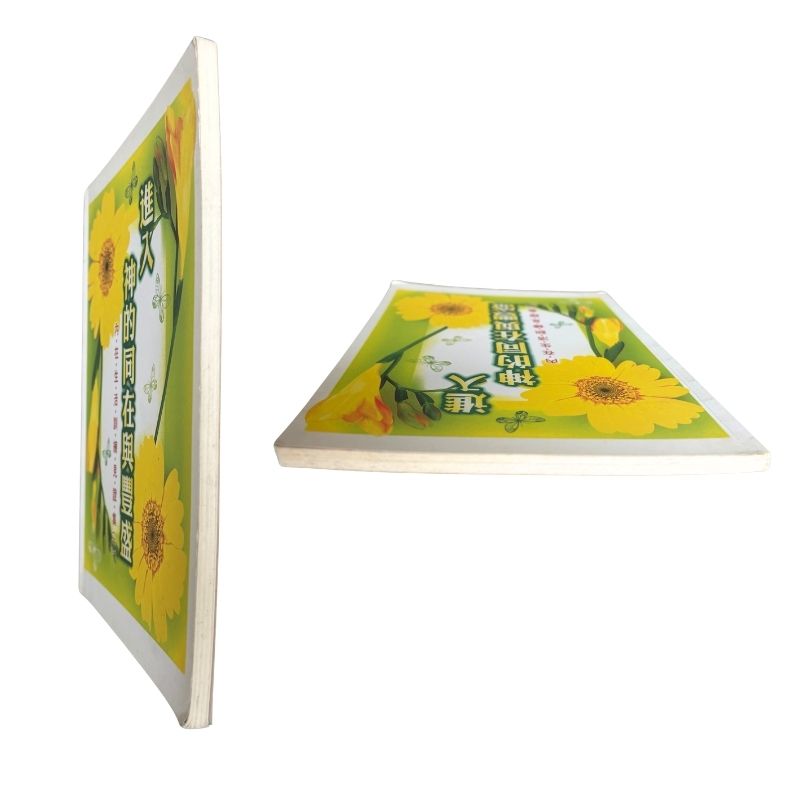 malaysia-online-christian-bookstore-faith-book-store-mandarin-book-再生书-进入神的同在与丰盛：内在生活训练见证集（一）- 浸宣出版社-7