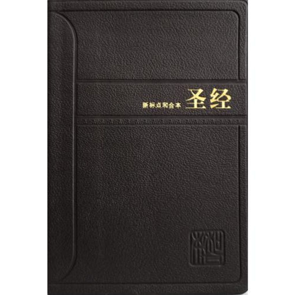 faith-book-store-chinese-bible-和合本-轻便装-黑色-CUNPSS52-9789830303642-500x500.jpg