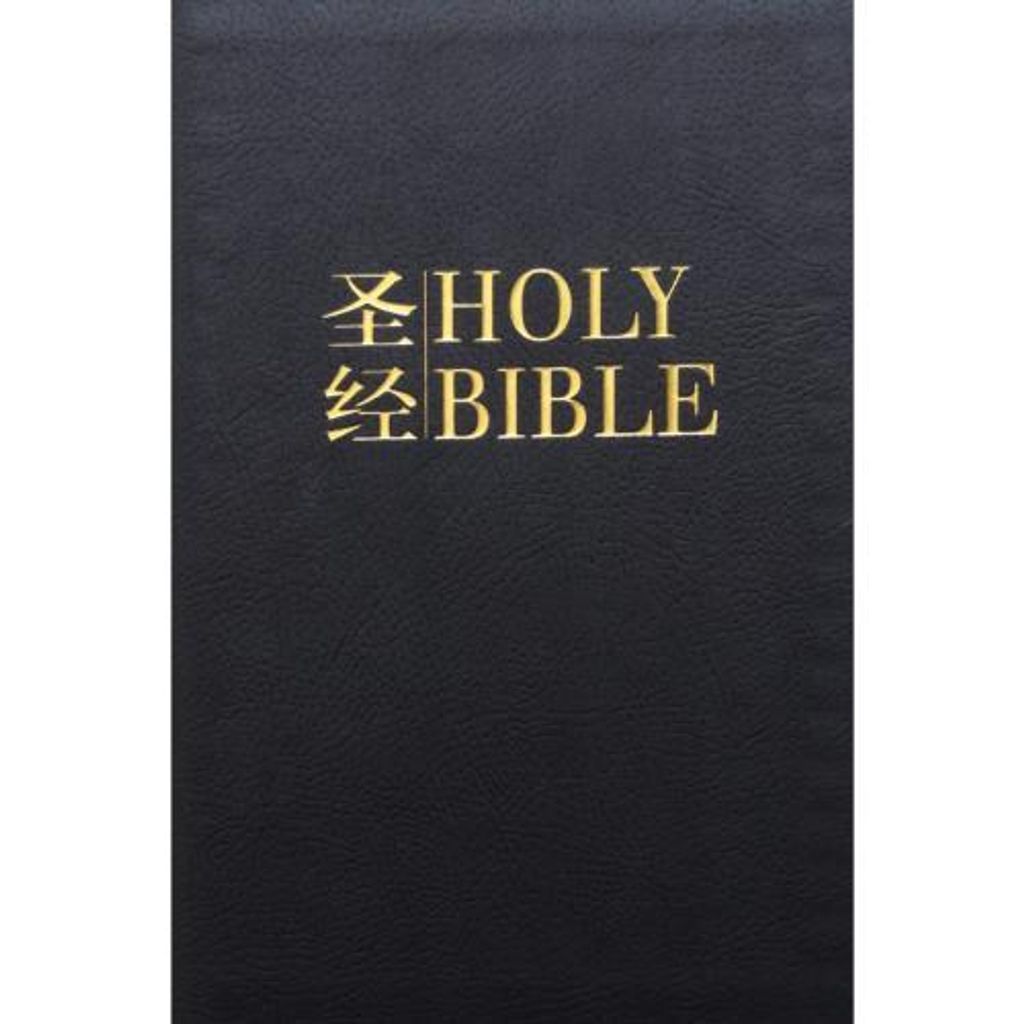 faith-book-store-chinese-english-bilingual-bible-中英对照-和合本-黑色-仿皮-拉链-NIV-CUNPSS-NIV-CUNPSS53DIZ-9789812205643-500x500.jpg