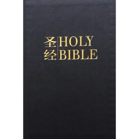 faith-book-store-chinese-english-bilingual-bible-中英对照-和合本-黑色-仿皮-拉链-NIV-CUNPSS-NIV-CUNPSS53DIZ-9789812205643-500x500.jpg