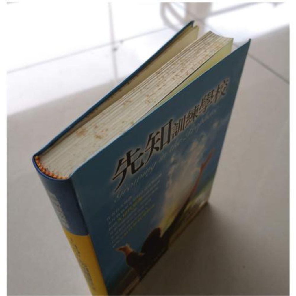 faith-book-store-used-chinese-book-毕迈可-先知训练学校-edge-500x500.jpg
