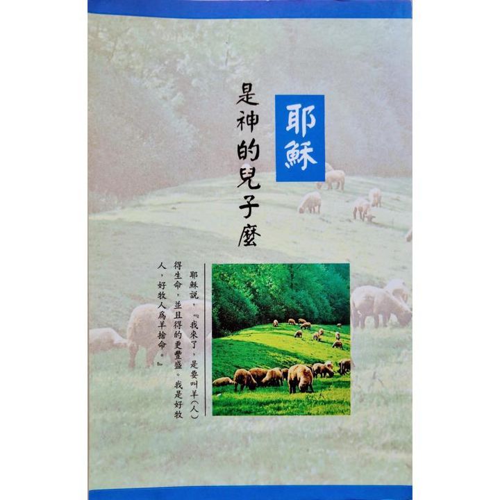 faith-book-store-used-chinese-book-二手书-台湾福音书房-耶稣是神的儿子么-9575131045-front-800x800.jpg