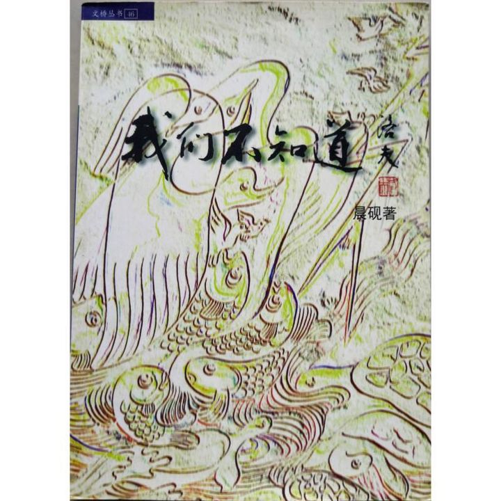 faith-book-store-used-chinese-book-二手书-文桥传播中心-晨砚-我们不知道-9839093169-front-800x800.jpg