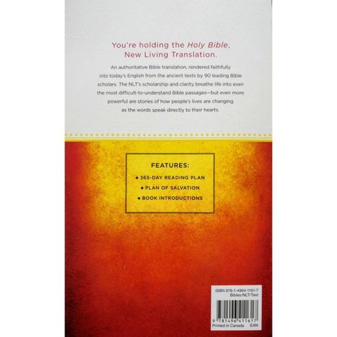 faith-book-store-english-bible-tyndale-New-Living-Translation-NLT-soft-cover-outreach-bible-9781496411617-back-800x800.jpg