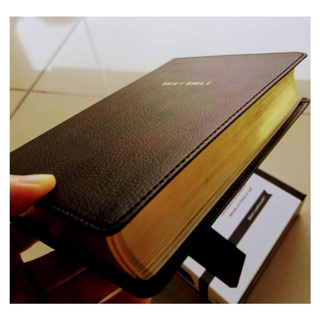 faith-book-store-english-bible-thomas-nelson-New-King-James-Version-NKJV-compact-large-print-reference-red-letter-black-leathersoft-gold-edge-9780785217497-edge-1-800x800.jpg