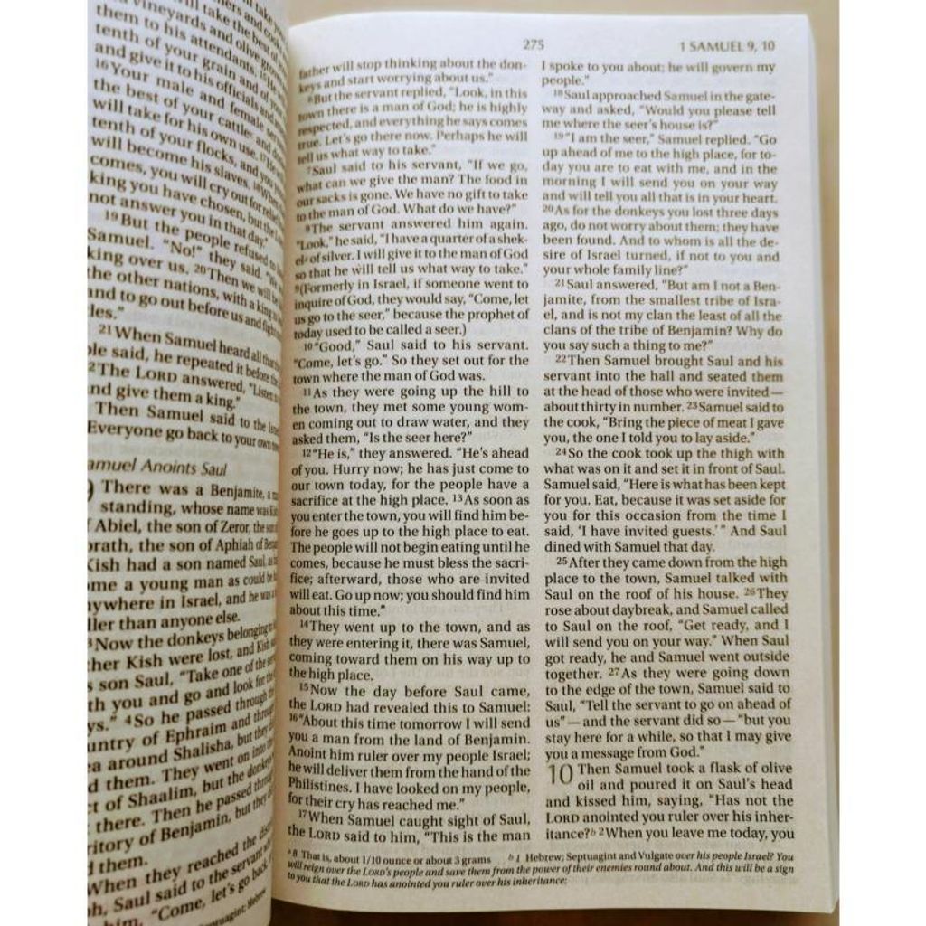 malaysia-online-christian-bookstore-faith-book-store-english-bible-zondervan-new-international-version-NIV-holy-bible-larger-print-9780310446149-content-800x800.jpg