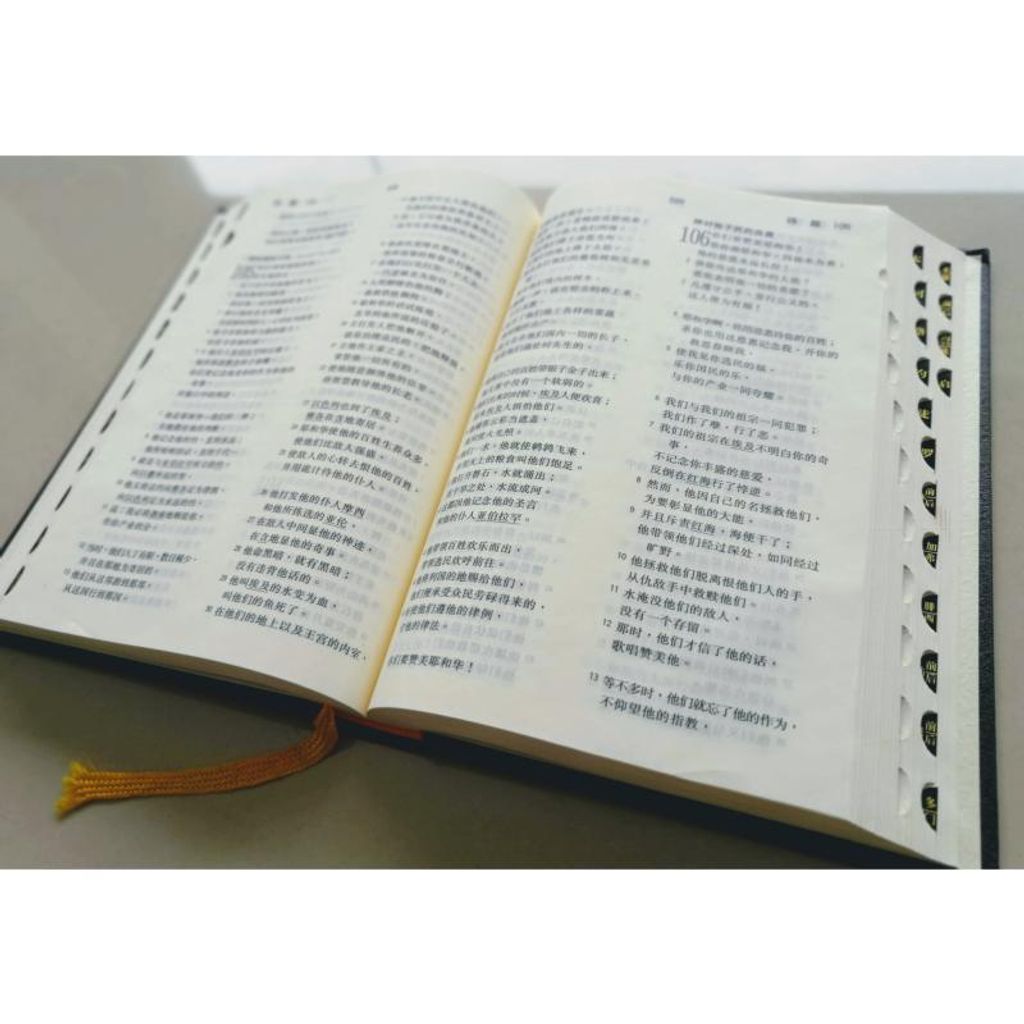 online-christian-book-store-faith-book-store-chinese-bible-中文圣经-新标点和合本-精装-索引-中型-简体-CUNPSS63TI-9789830303659-side-800x800.jpg