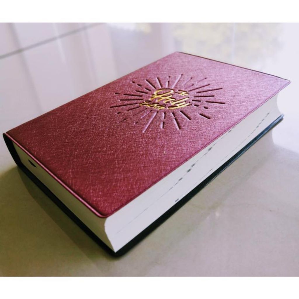 faith-book-store-english-bible-NIV-compact-pearl-vinyl-cover-burgundy-NIV52PL-9789812206466-edge-800x800.jpg
