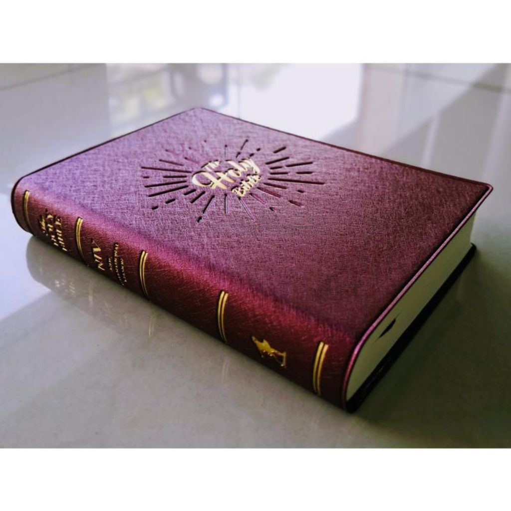 faith-book-store-english-bible-NIV-compact-pearl-vinyl-cover-burgundy-NIV52PL-9789812206466-side-800x800.jpg