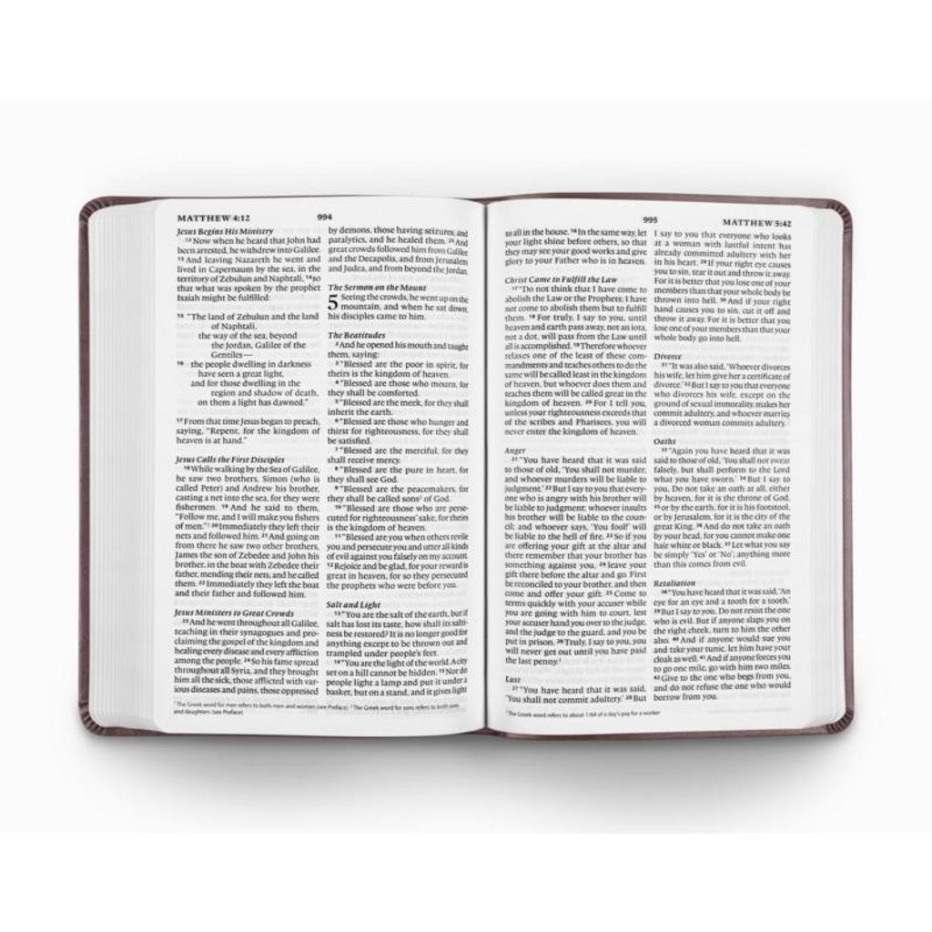 malaysia-online-christian-bookstore-faith-book-store-english-bible-ESV-English-Standard-Version-value-thinline-large-print-trutone-Mahogany-9781433550294-content-bible-800x800.jpg
