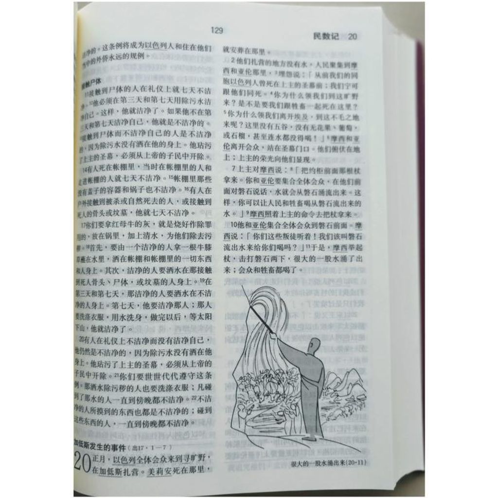 malaysia-online-christian-bookstore-faith-book-store-chinese-bible-现代中文译本-修订版-轻便装-褐色-TCVSS62P-9789830300375-3-800x800.jpg