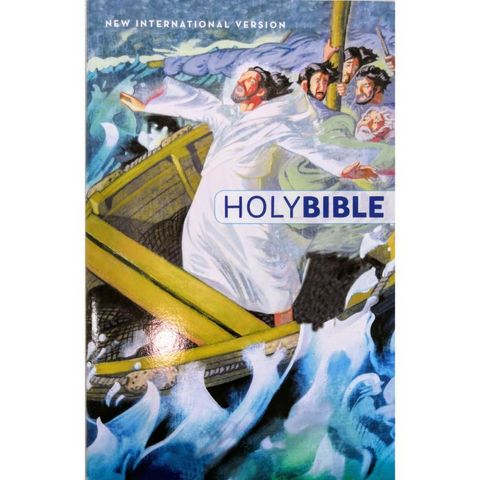 malaysia-online-christian-bookstore-faith-book-store-english-bible-NIV-New-International-version-Childrens-holy-bible-9780310763239-1front-800x800.jpg