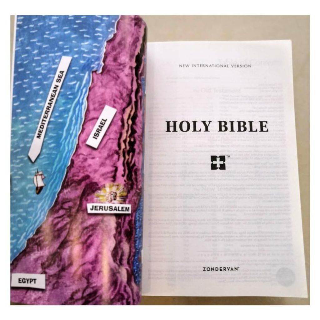 malaysia-online-christian-bookstore-faith-book-store-english-bible-NIV-New-International-version-Childrens-holy-bible-9780310763239-4coverpage-800x800.jpg