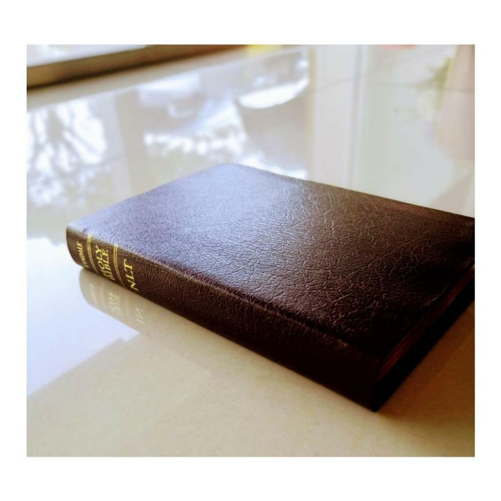 malaysia-online-christian-bookstore-faith-book-store-english-bible-tyndale-New-Living-Translation-NLT-compact-gift-bible-Burgundy-bonded-leather-gold-edge-9781414301730-6-800x800.jpg