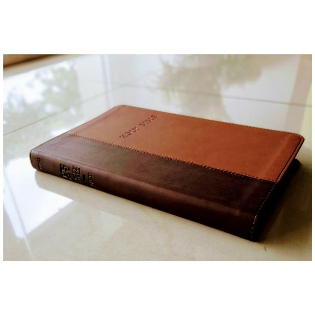 malaysia-online-bookstore-faith-book-store-english-bible-tyndale-New-Living-Translation-NLT- Premium-Value-Slimline-tutone-Leatherlike-Gold-Edge-9781414369891-7-800x800.jpg