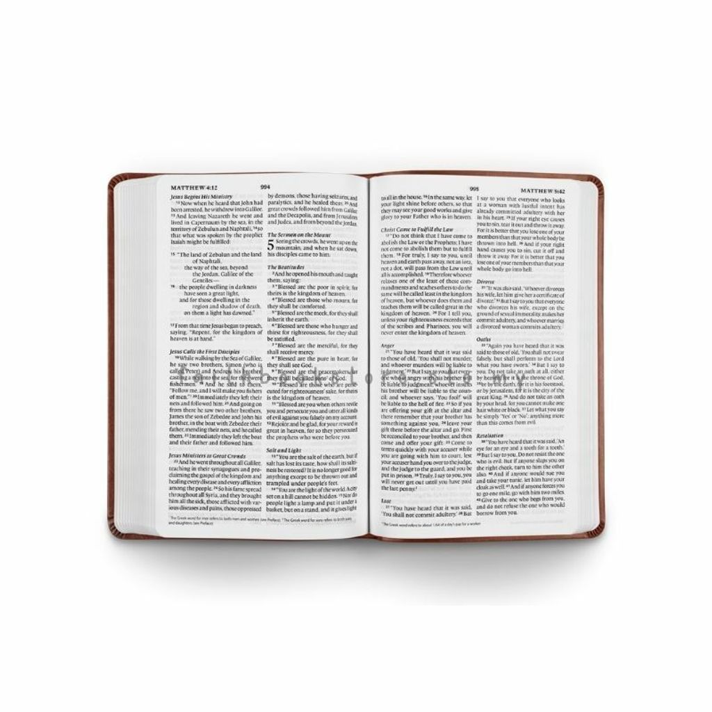 malaysia-online-christian-bookstore-faith-book-store-english-bibles-english-standard-version-esv-large-print-value-thinline-trutone-chestnut-9781433550263-800x800-3.jpg