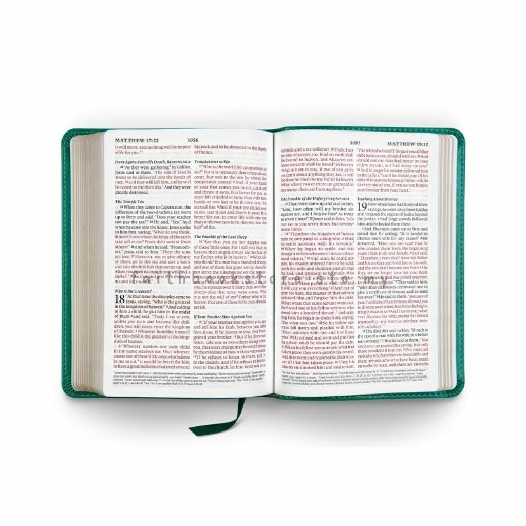 malaysia-online-christian-bookstore-faith-book-store-english-bibles-english-standard-version-ESV-large-print-compact-trutone-teal-9781433556036-800x800-3.jpg