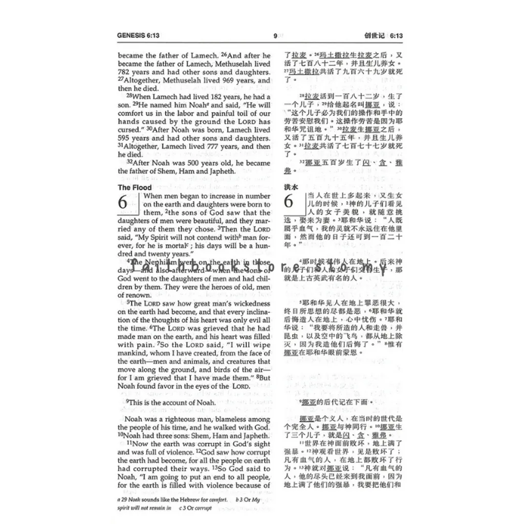 malaysia-online-christian-bookstore-faith-book-store-bilingual-bible-CUV-NIV-中英对照圣经-和合本-NIV-拉链-褐色-仿皮-金边-9789625131474-800x800-5.jpg