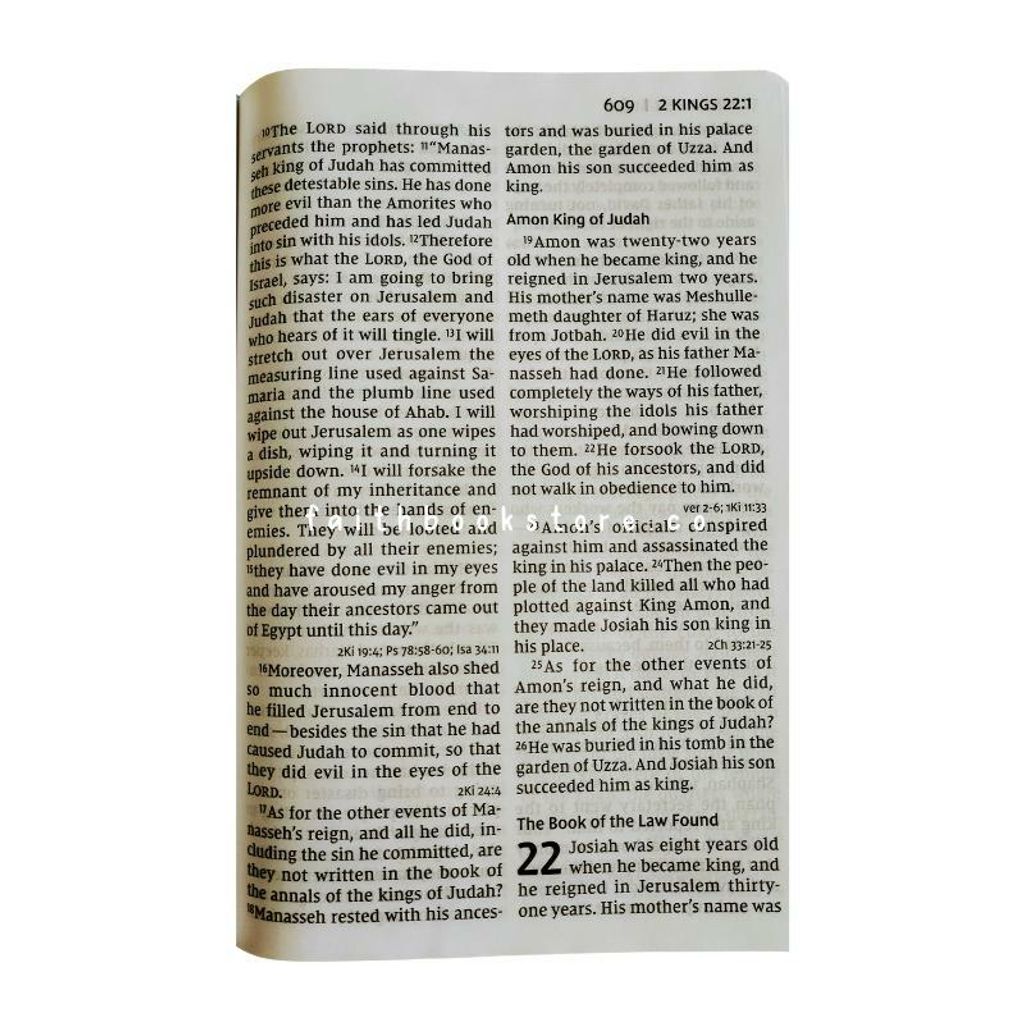 malaysia-online-christian-bookstore-faith-book-store-english-bible-NIV-new-international-version-super-giant-print-turquoise-leathersoft-9780310449386-5-800x800.jpg