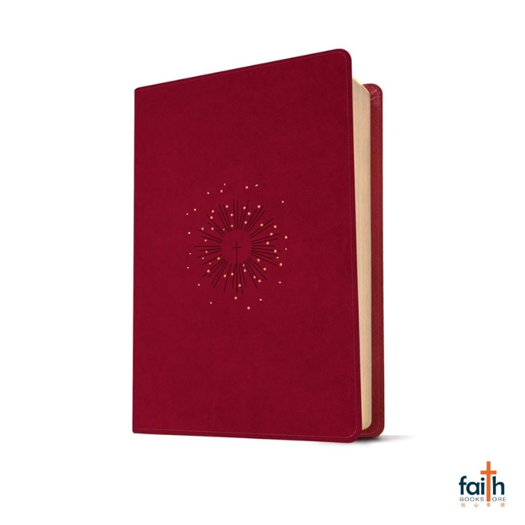 malaysia-online-christian-bookstore-faith-book-store-english-bible-NLT-new-living-translation-giant-print-9781496460899-800x800-3