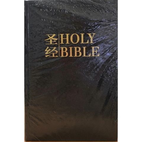 Faith_Book_Store_Bilingual_Bible_中英对照_和合本_NIV_CUNPSS53DI.jpg