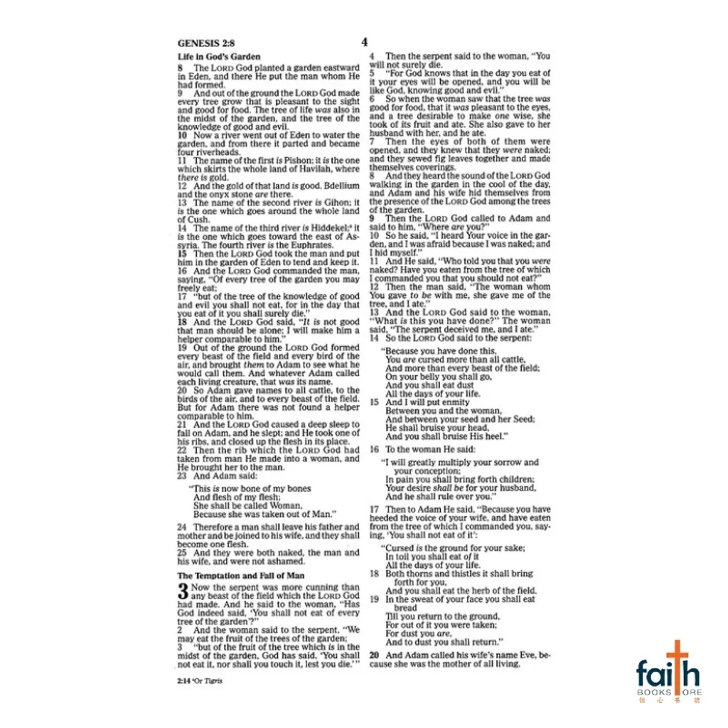 malaysia-online-christian-bookstore-faith-book-store-english-holy-bible-new-king-james-version-nkjv-value-outreach-paperback-blue-scenic-thomas-nelson-800x800-5