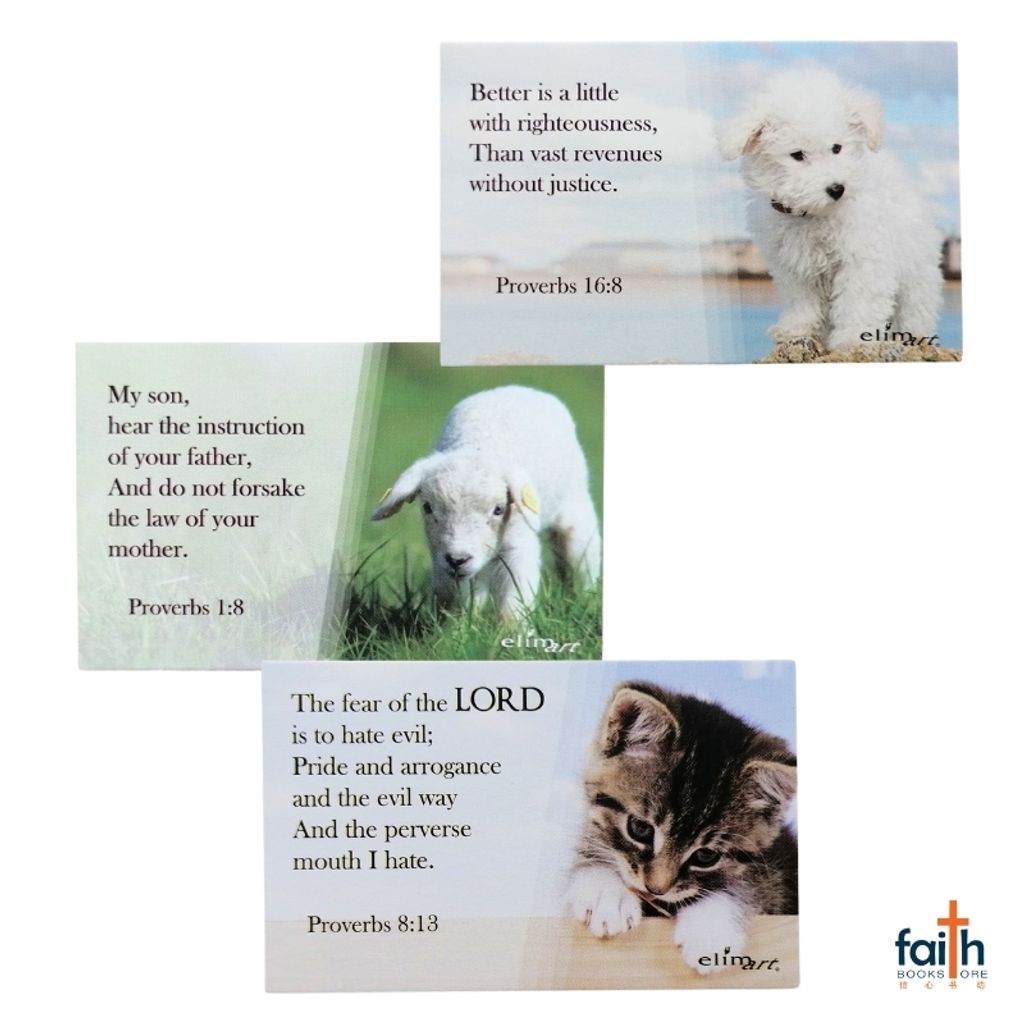 malaysia-online-christian-bookstore-faith-book-store-faithbuilder-cards-with-scripture-verses-proverbs-series-elim-art-SEFB-5902-FM-800x800-4