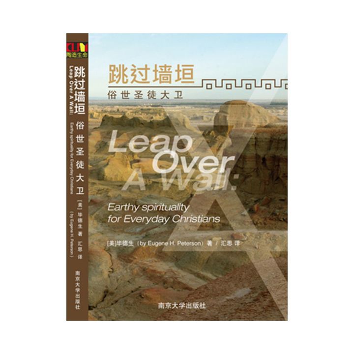 跳过墙垣俗世圣徒大卫.jpg