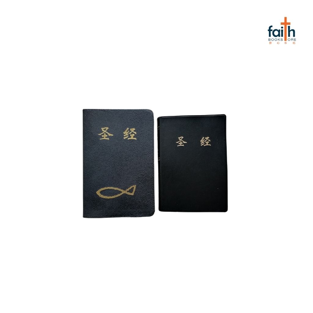 malaysia-online-christian-bookstore-faith-book-store-leather-like-bible-cover-medium-size-圣经-仿皮-套-中型-圣经-agape-800x800-4