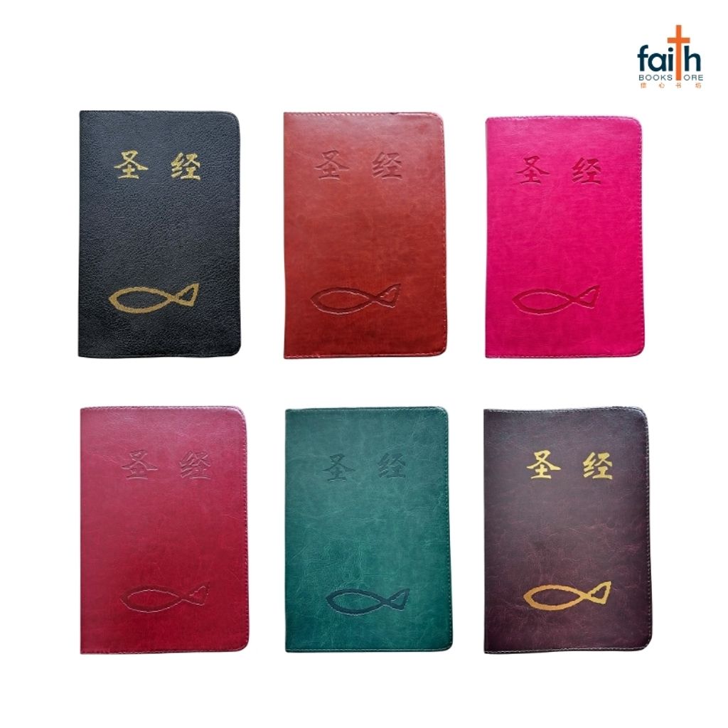 malaysia-online-christian-bookstore-faith-book-store-leather-like-bible-cover-medium-size-圣经-仿皮-套-中型-圣经-agape-800x800-1