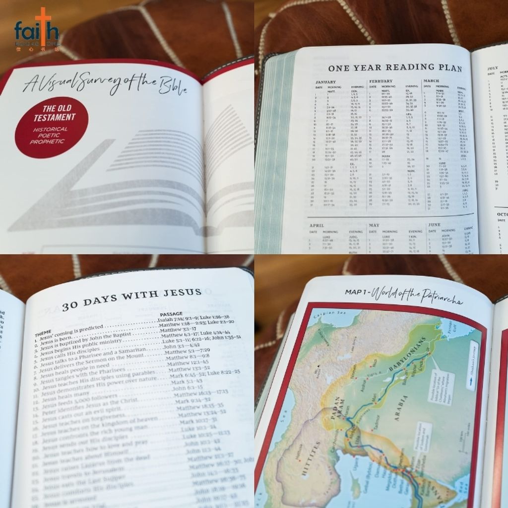 malaysia-online-christian-bookstore-faith-book-store-english-holy-bible-new-king-james-version-nkjv-thinline-youth-edition-gray-leathersoft-red-letter-comfort-print-8193GRY-thomas-nelson-9780785225782-800x800-7